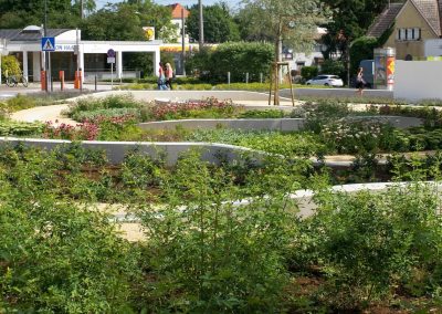 Salzburg CDK